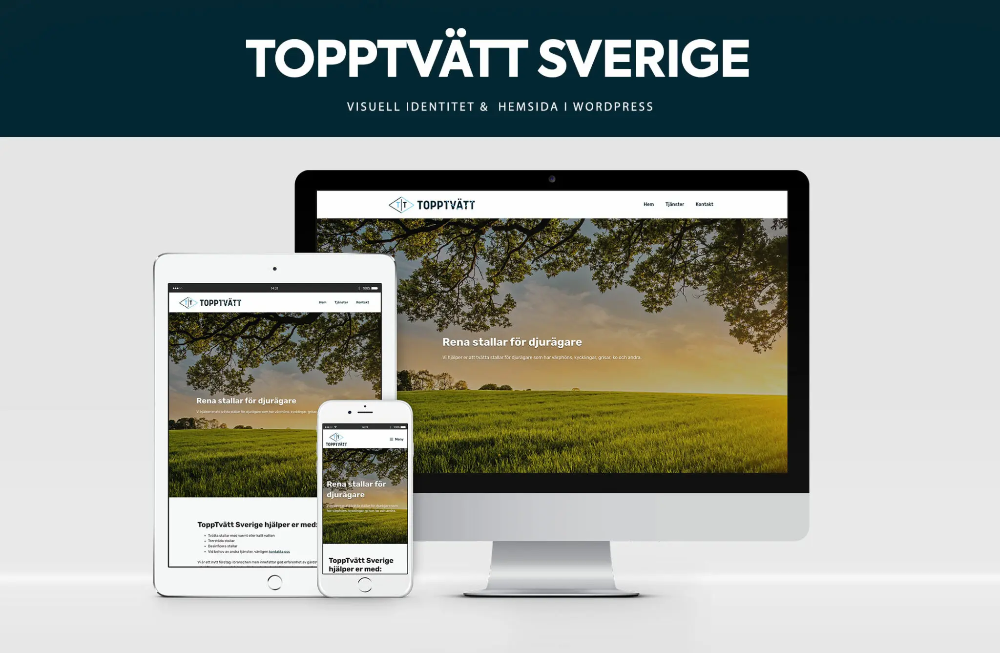 topptvatt-2024-Ref-2048×1337 (1)