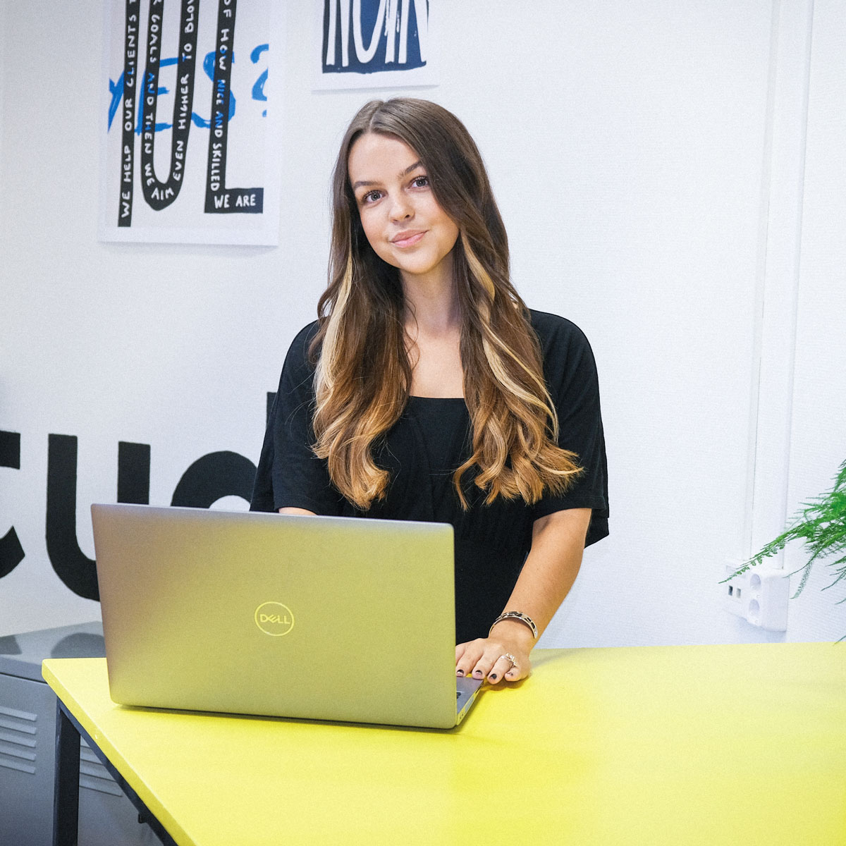 Clara kontakt - Concil Studio